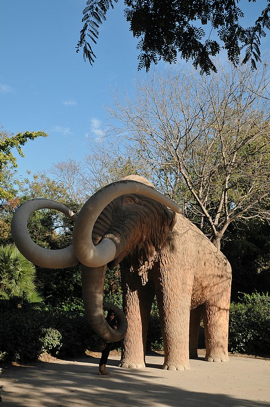 DSC_2512.JPG