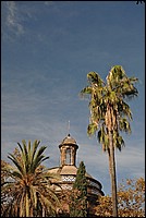DSC_2390.JPG