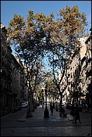 DSC_2482.JPG