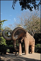 DSC_2512.JPG