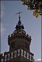 DSC_2525GF.jpg