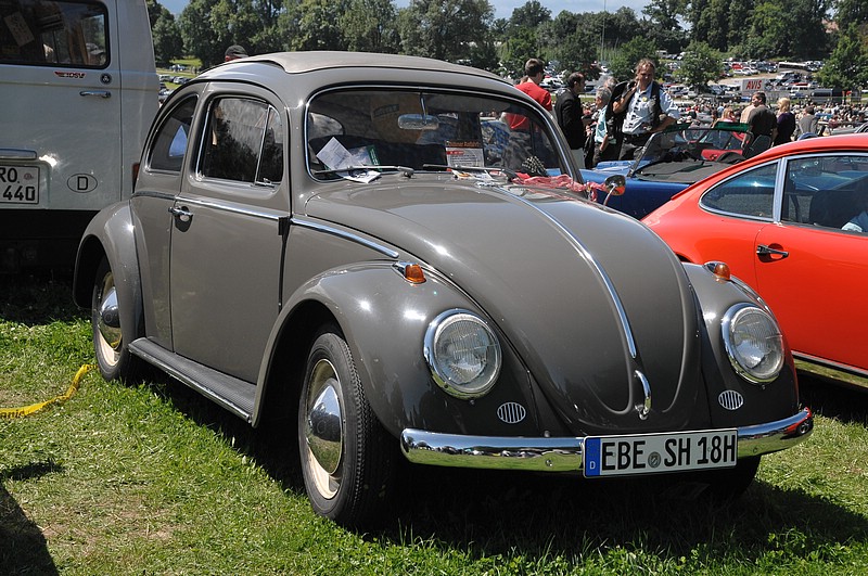 DSC_1102.JPG