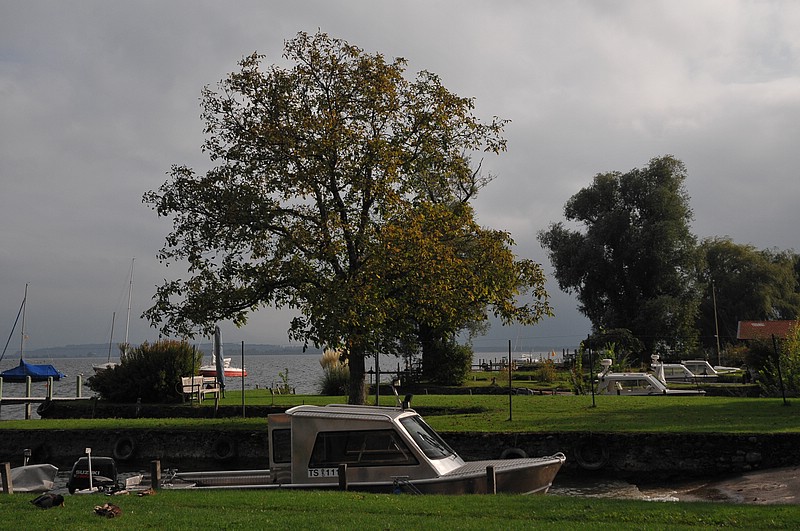 DSC_7146.JPG