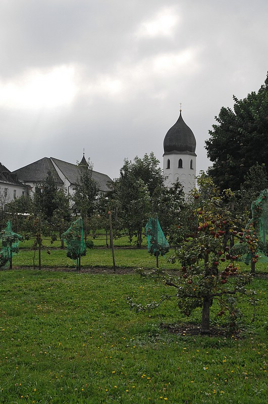 DSC_7155.JPG