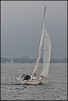 DSC_7229CE.jpg