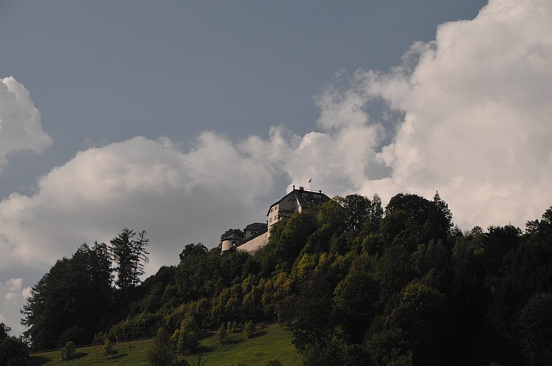 DSC_7822.JPG