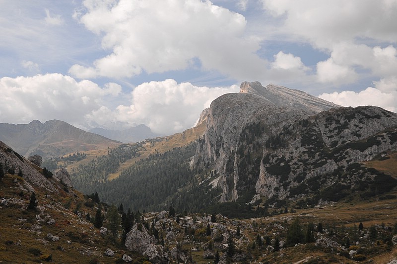 DSC_8328.JPG