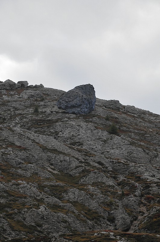 DSC_8341.JPG