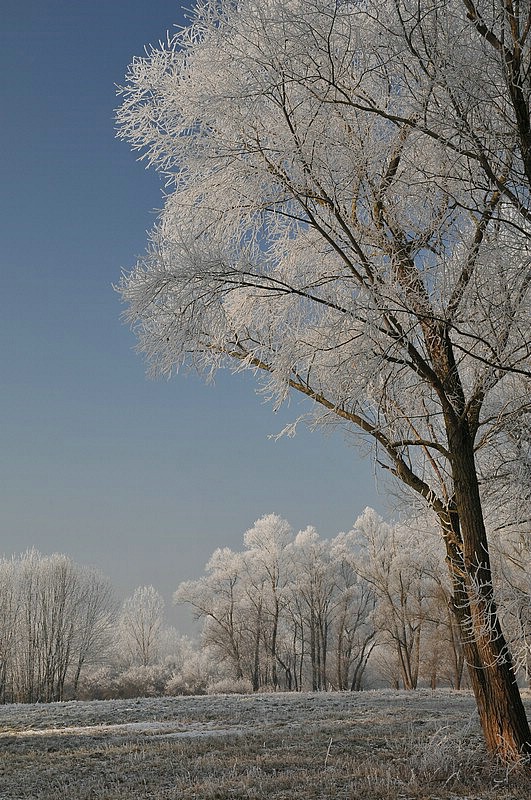 DSC_7276E.JPG