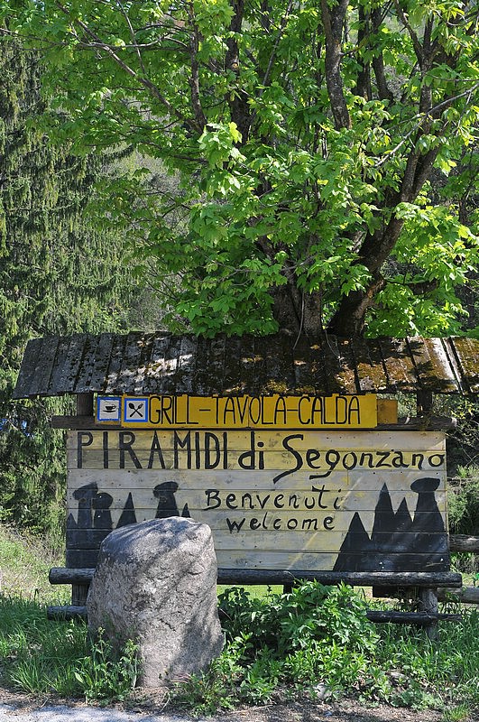 DSC_0213.JPG