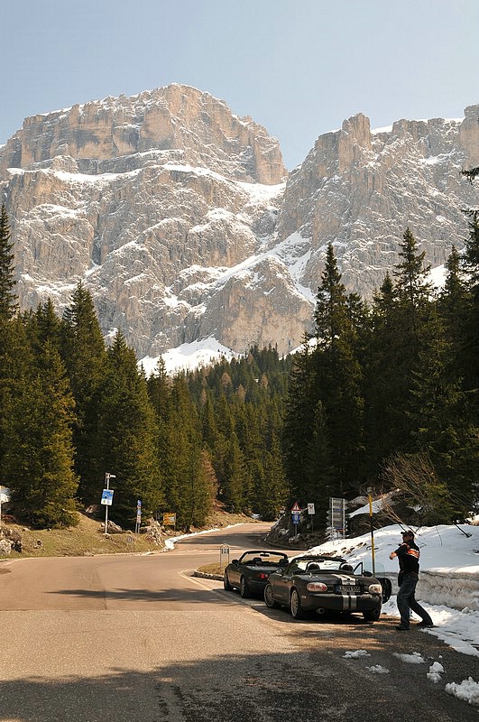 DSC_0223.JPG