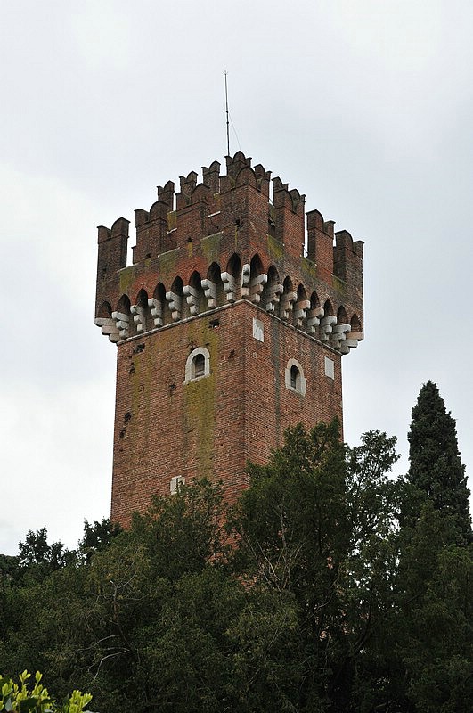 DSC_9433.JPG