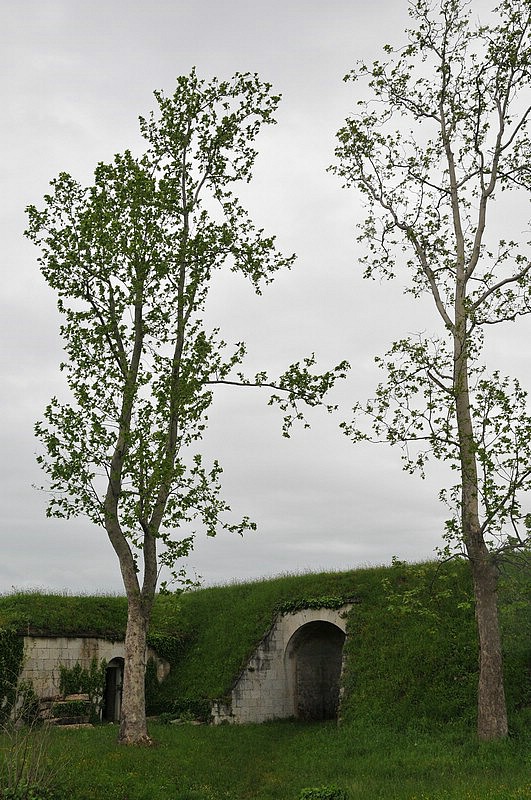 DSC_9622.JPG