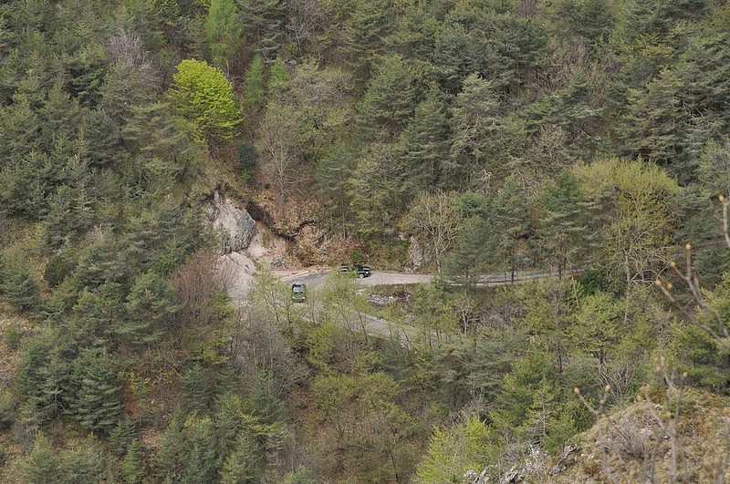 DSC_9791.JPG