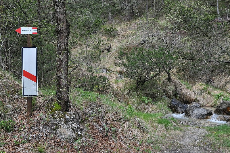 DSC_9810.JPG