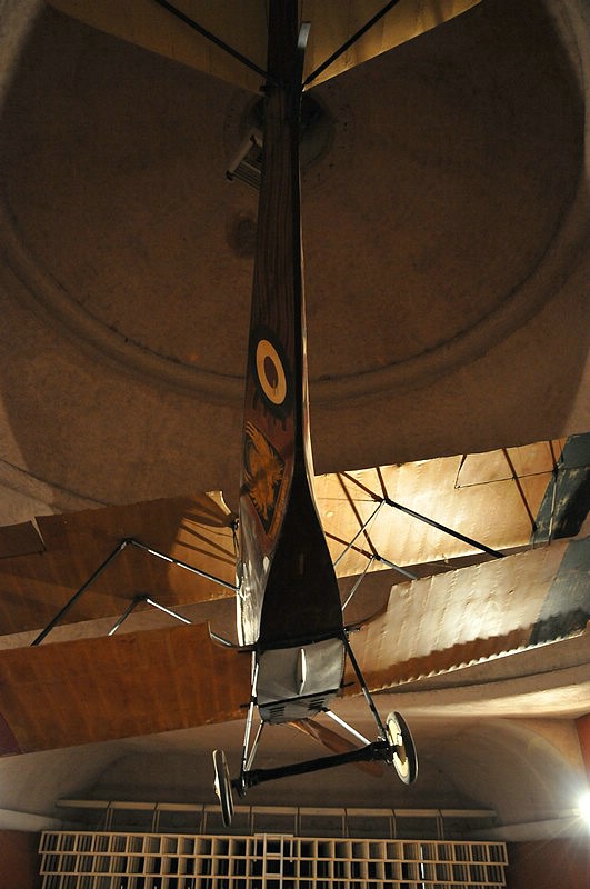 DSC_9945.JPG