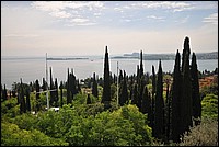 DSC_0002.JPG