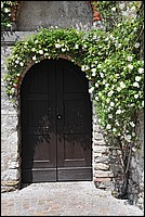 DSC_0094.JPG