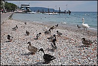 DSC_0111.JPG