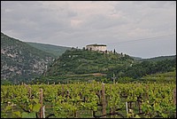 DSC_0168.JPG