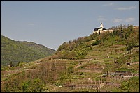DSC_0210.JPG