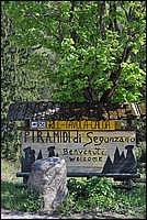 DSC_0213.JPG