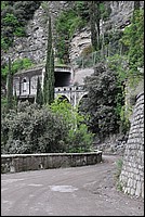DSC_9556.JPG