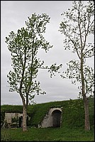 DSC_9622.JPG