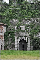 DSC_9648.JPG