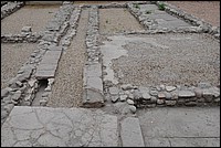 DSC_9652.JPG