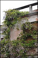 DSC_9659.JPG