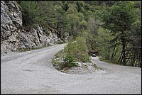 DSC_9777.JPG