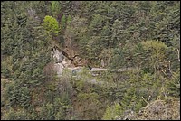 DSC_9791.JPG