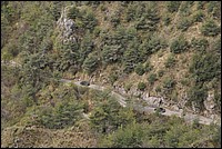 DSC_9800.JPG