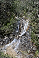 DSC_9804.JPG