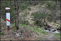 DSC_9810.JPG