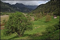 DSC_9818.JPG