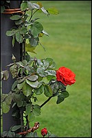 DSC_9868.JPG