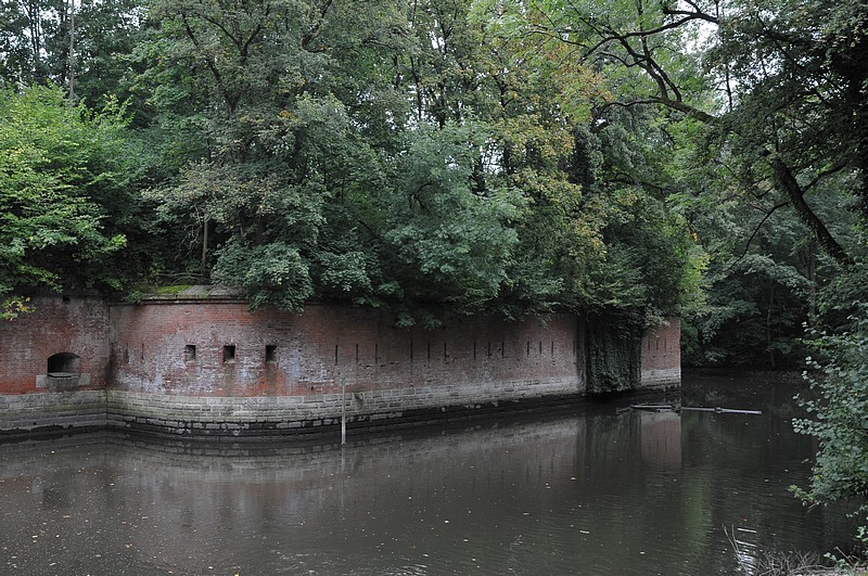 DSC_5900.JPG