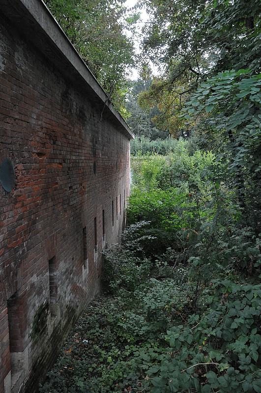 DSC_5948.JPG