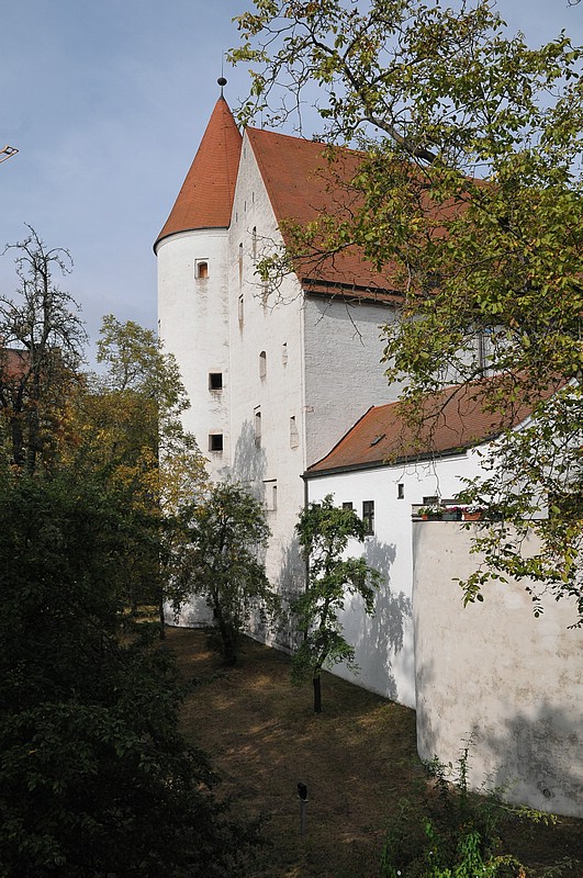 DSC_6003.JPG