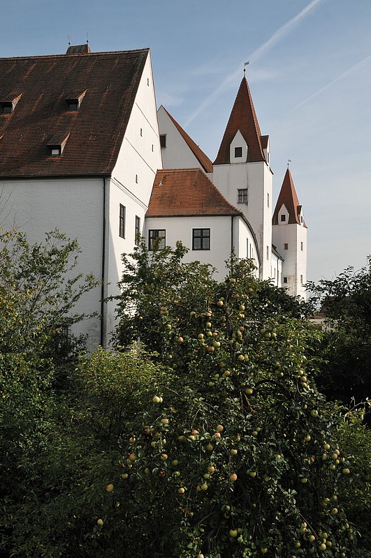 DSC_6015.JPG