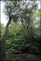 DSC_5876.JPG