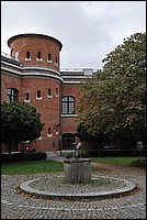 DSC_5943.JPG