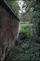 DSC_5948.JPG