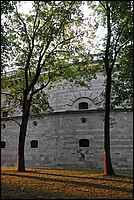 DSC_6228.JPG