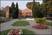 DSC_6237.JPG