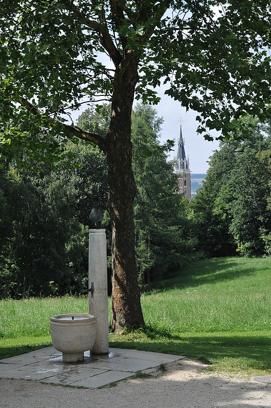 DSC_3697.JPG