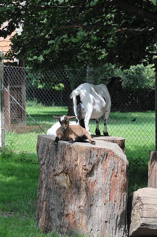 DSC_3715.JPG