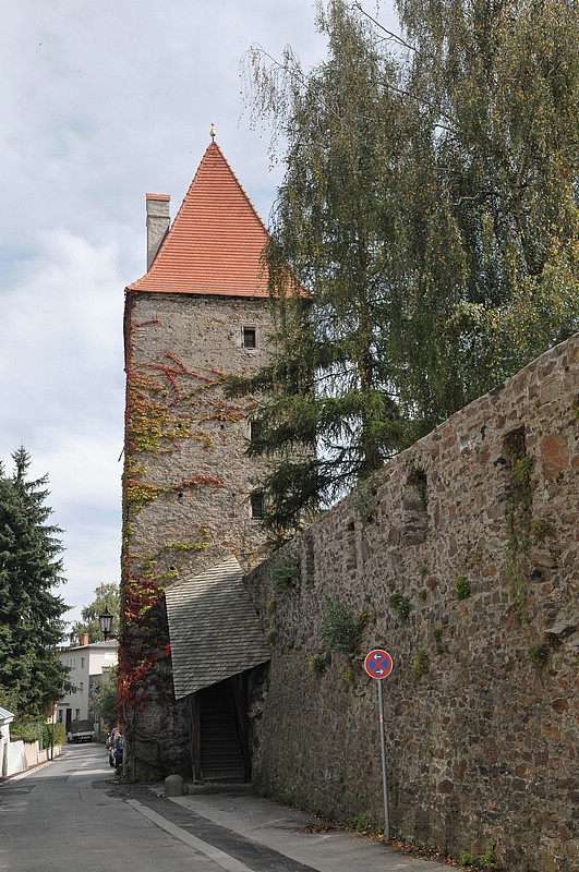 DSC_6289.JPG